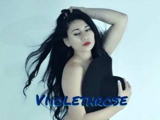 Viiolethrose