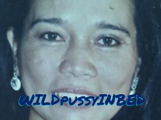 WILDpussyINBED