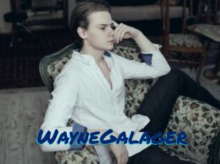 WayneGalager