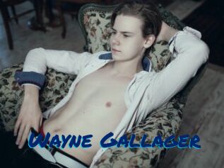 Wayne_Gallager