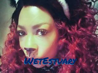 WetEstuary