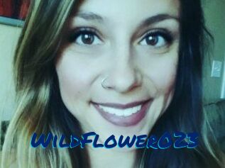 WildFlower023