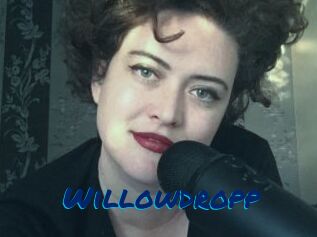 Willowdropp