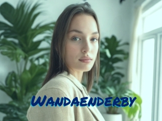 Wandaenderby