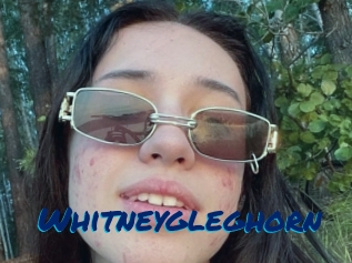 Whitneygleghorn