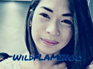 WildFLAMINGO