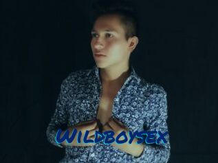 Wildboysex