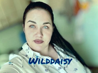 Wilddaisy