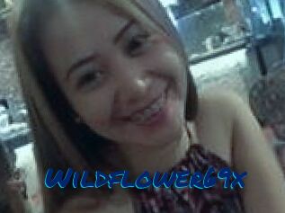 Wildflower69x