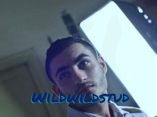 Wildwildstud