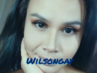 Wilsongay