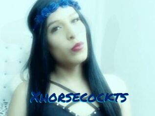 Xhorsecockts