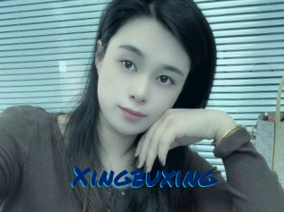 Xingbuxing