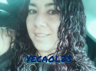 YECAOL23