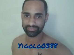Yigolo0388