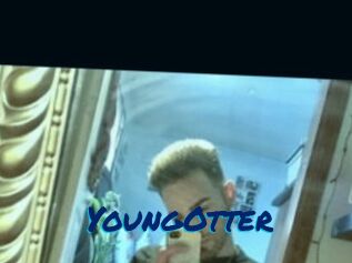 YoungOtter