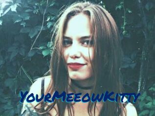 YourMeeowKitty