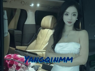 Yangqinmm