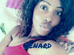 ZENARD
