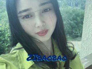 ZIbaobao