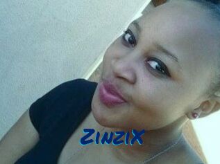 ZinziX